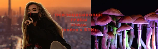 мяу мяу мука Абаза