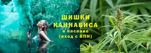 мяу мяу мука Абаза